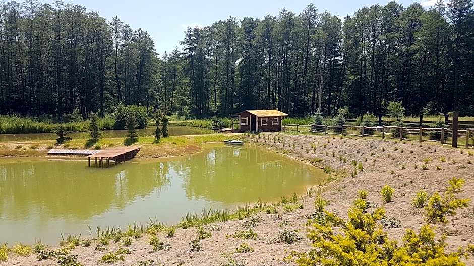 Agroturystyka Perła Gaju