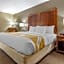 Quality Inn Dover