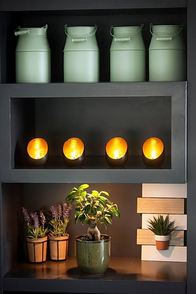 Aangenaam op de Rijn, woonboot, inclusief privé sauna