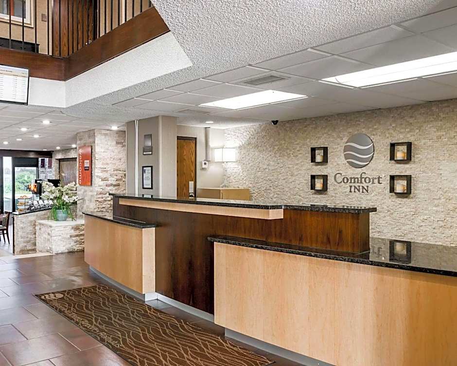 Comfort Inn Metro Airport Romulus