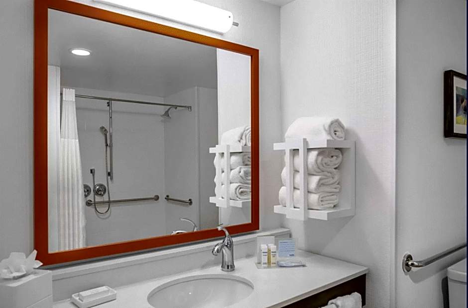 Photo 1 of 4 of 1 King Bed, Mobility Accessible, Bathtub