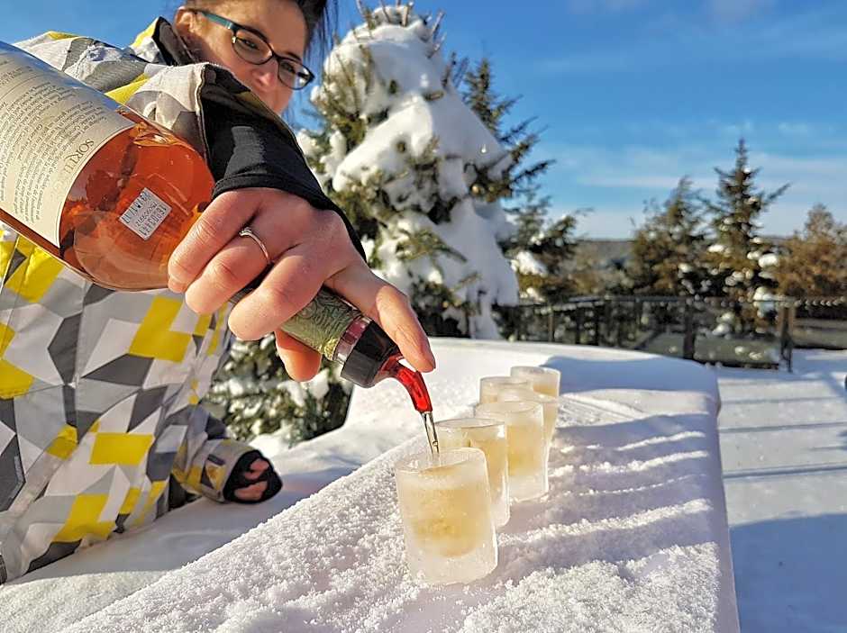 Sacacomie Hôtel et Spa