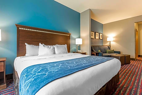 1 King Bed, Suite, Nonsmoking