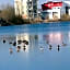 Seehotel Forst