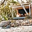 Wilson Island