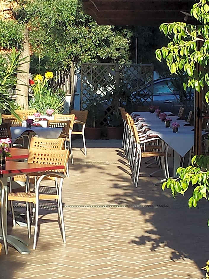 Hotel Plammas