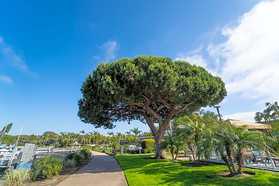 The Dana on Mission Bay