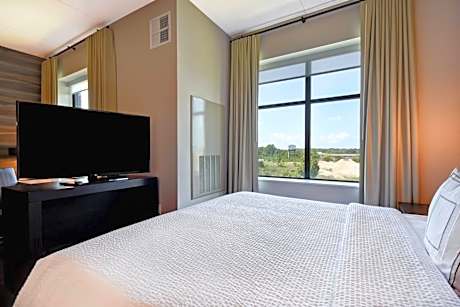 Studio, 1 King, Sofa bed