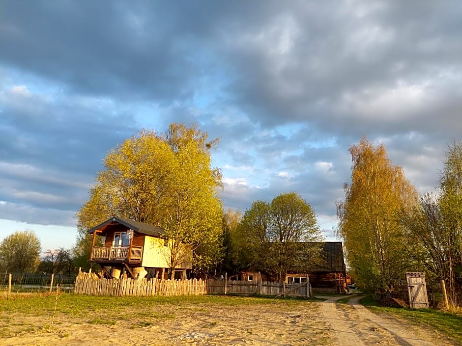 Podlasie Domek na drzewach