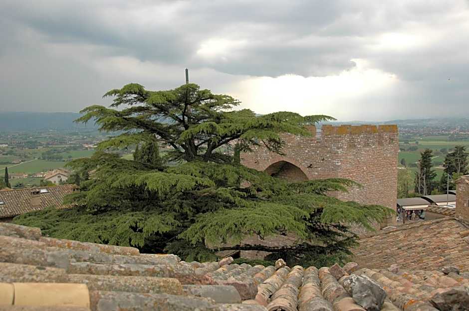 Hotel San Pietro