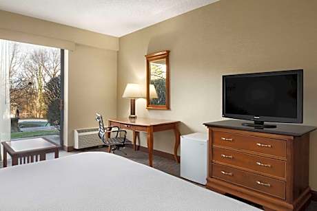 Deluxe King Room with Patio