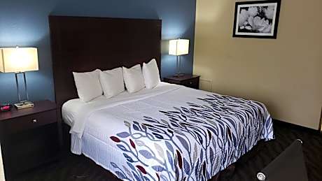 Superior King Room Disability Access Non-Smoking