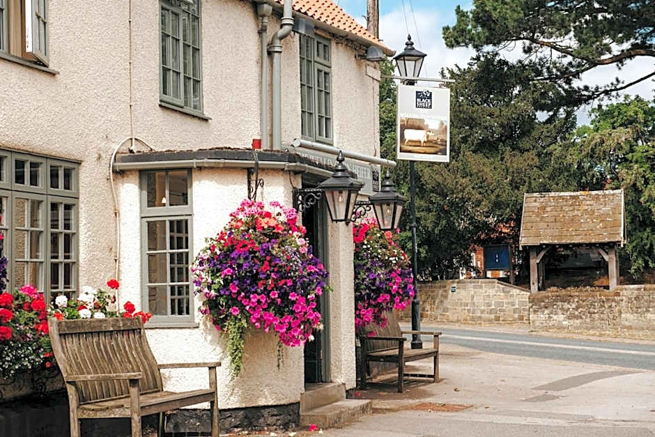 The Wellington Heifer