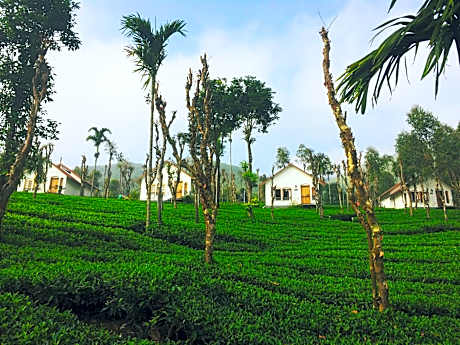 Tea Terrace Vythiri Resort