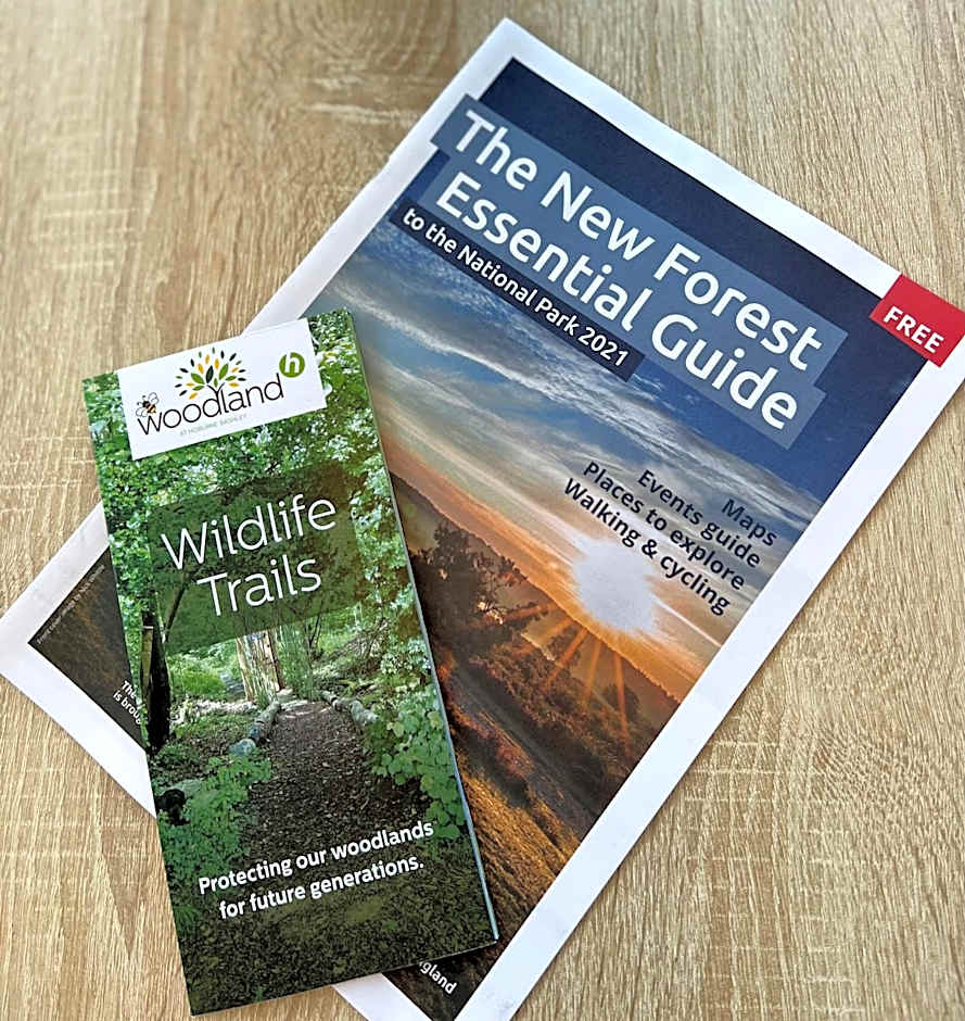 forest beach bashley park