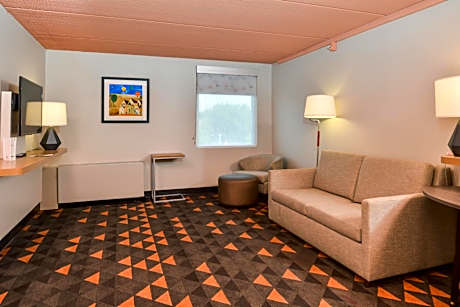 Premium King Room