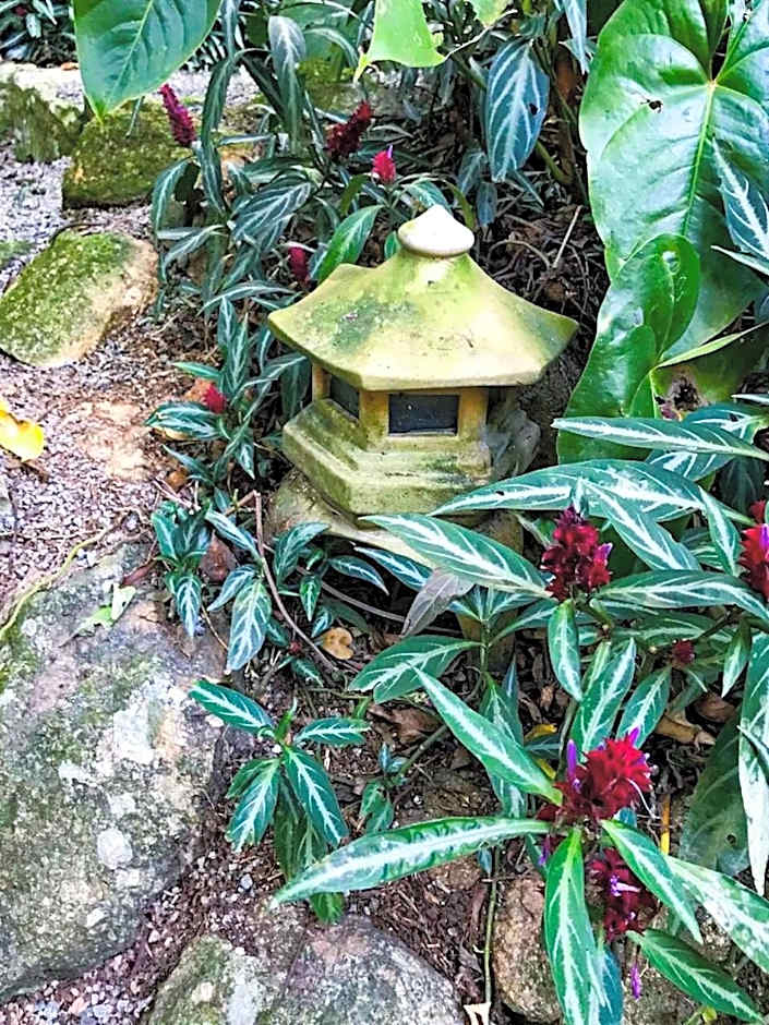 Loft Aconchegante em Meio à Natureza