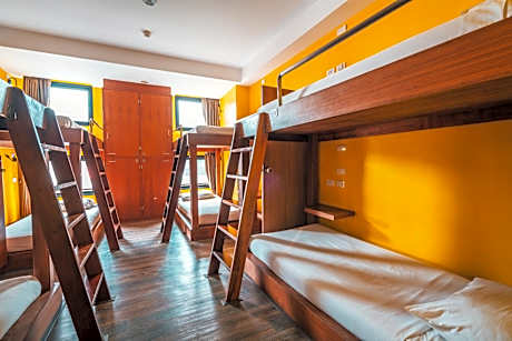 8-Bed Mixed Dormitory Room