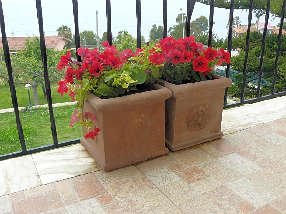 Marywilliam – Agropoli, UT