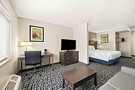 King Suite with Sofa Bed - Non-Smoking