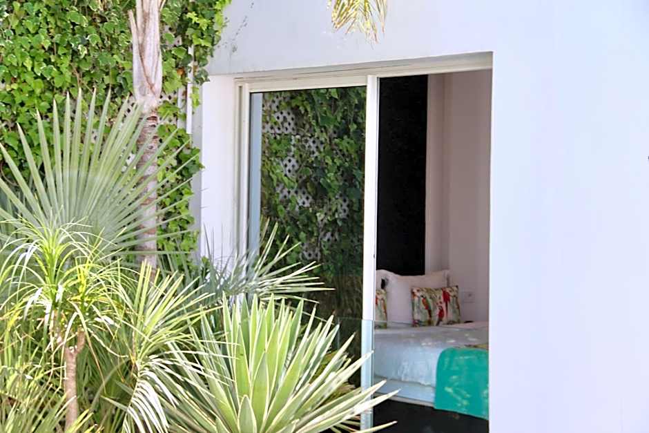Riad Zyo