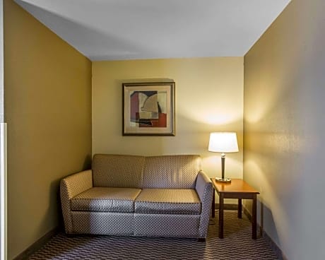 1 King Bed Suite Nonsmoking