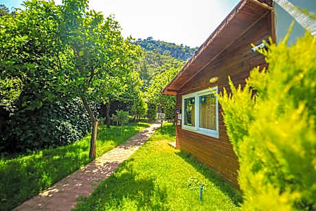 Cıralı Villa Zeytin
