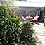 Amy's House Bed & Breakfast