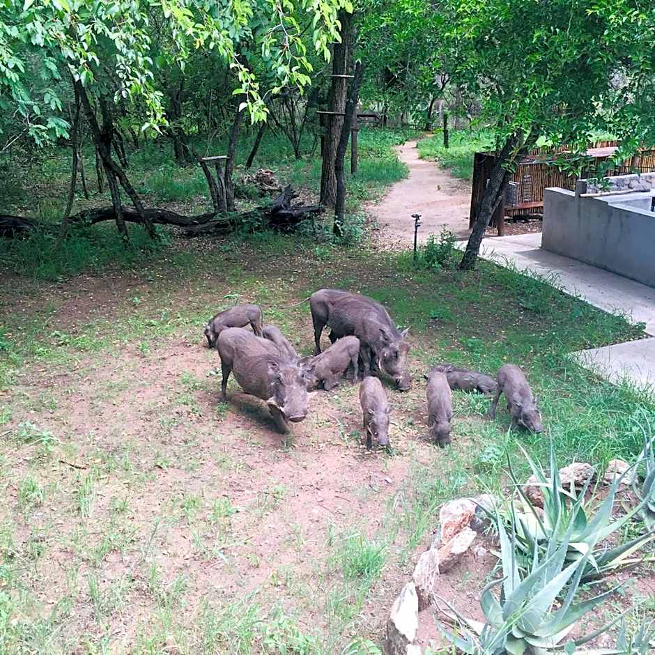 Dream of Africa Bush Lodge