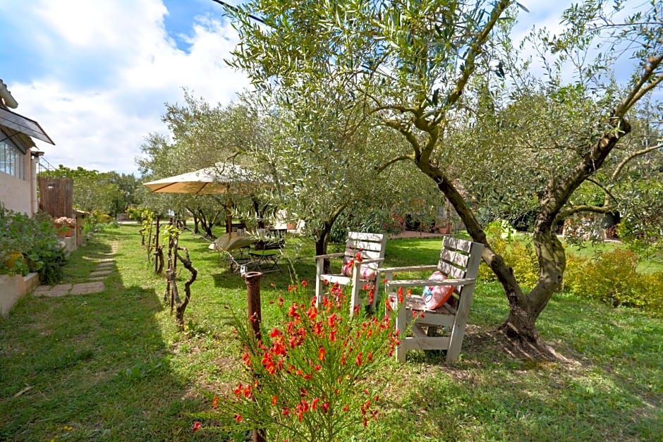 Le cabanon de l'olivette