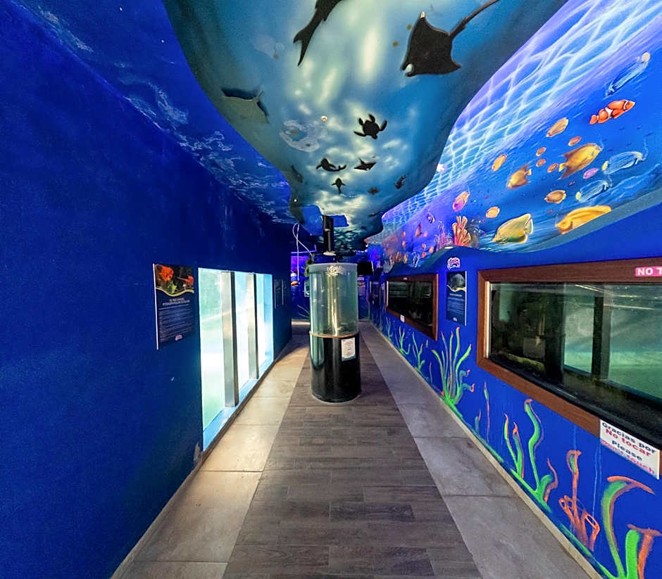 Splash Inn Nuevo Vallarta & Parque Acuatico