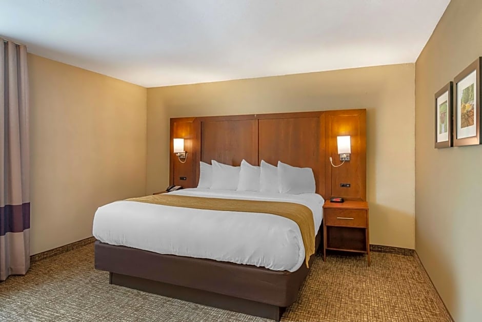 Comfort Inn Petersburg - Fort Lee