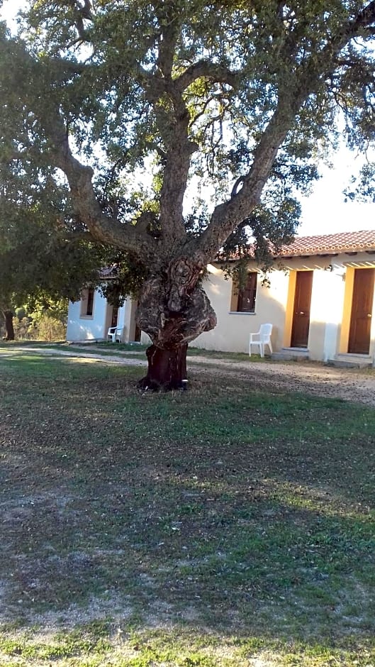 Agriturismo La tanca