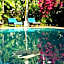 Patong Palace Hotel - SHA Extra Plus