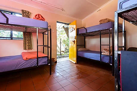 Bed in 8-Bed Mixed Dormitory Room