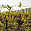 Domaine Joseph LAFARGE Wine Resort B&B