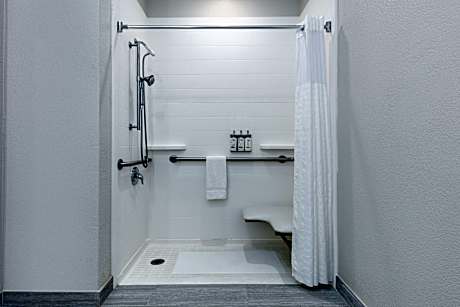 2 Queen Suite Mobility Accessible Roll Shower Sofa Bed