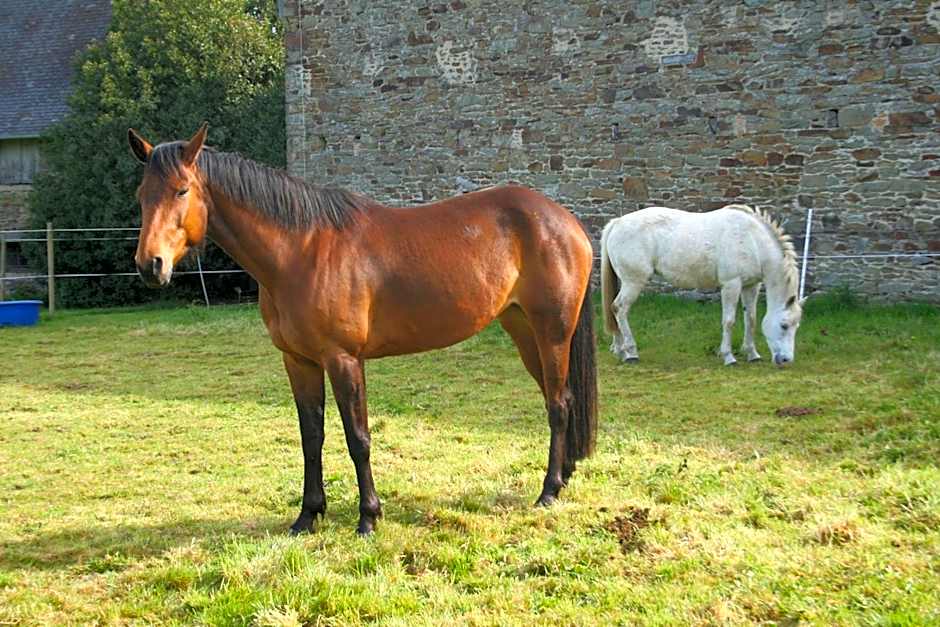 Chateau de Canisy