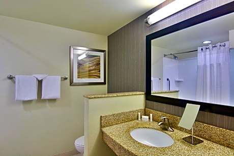 Room, 1 King Bed with Sofa bed (1 King Bed and 1 Double Sofa Bed)