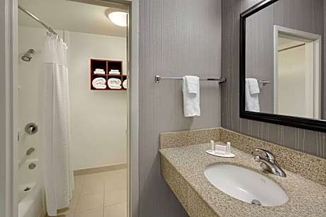Basic Room, 1 King Bed with Sofa bed (Mobility/Hearing Accessible, Tub)