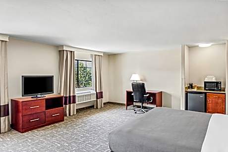 1 King Bed Suite Nonsmoking