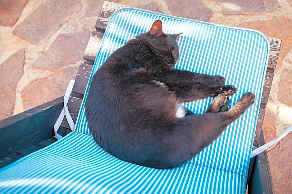 Villa Bella Salmagi - Surya Sardinia Holidays & Yoga