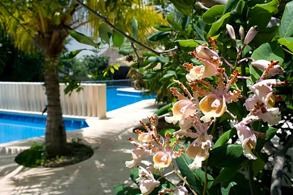 Sotavento Hotel & Yacht Club