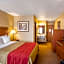 Quality Inn York