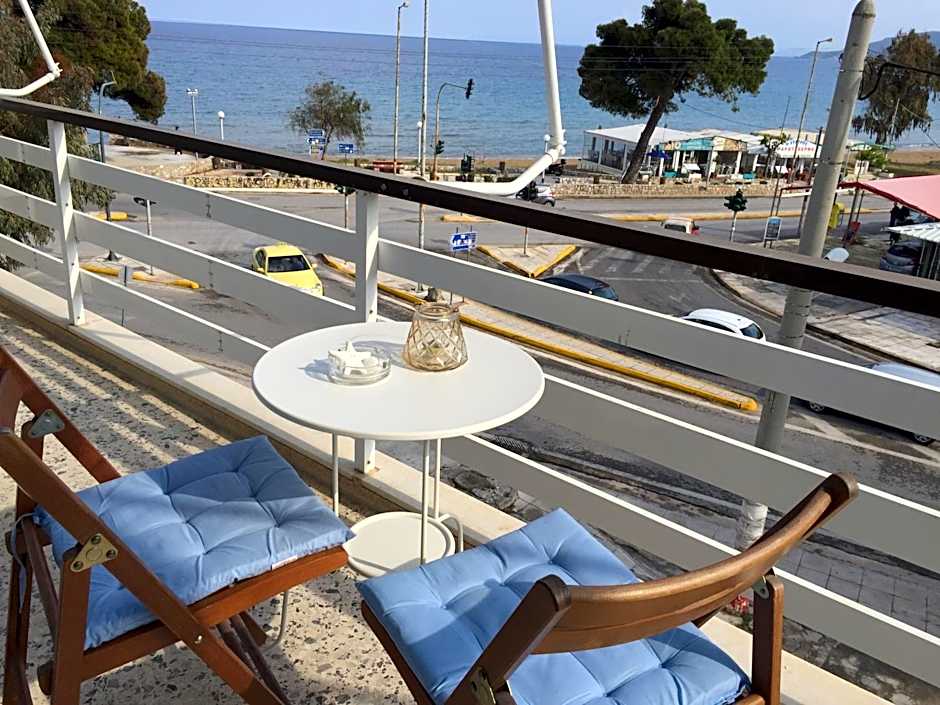 Starfish Seaside Studio