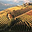 Albergo Castiglione Langhe