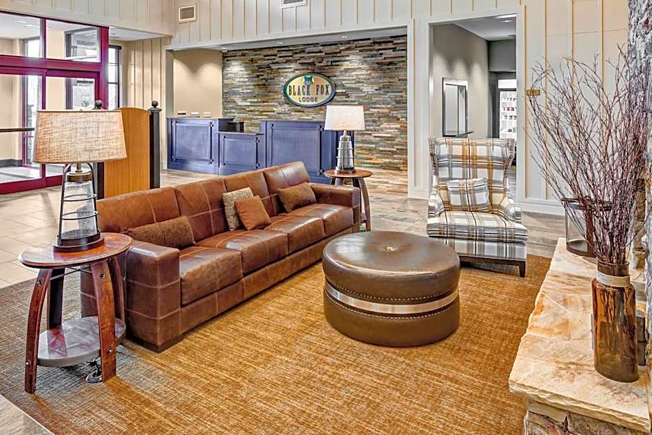 Black Fox Lodge Pigeon Forge, Tapestry Collection by Hilton
