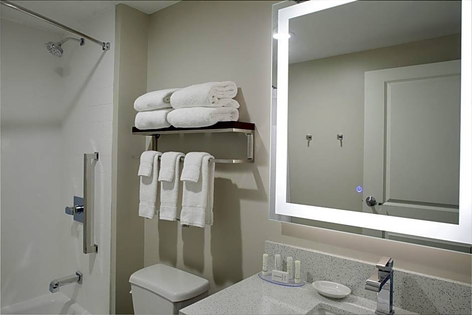 TownePlace Suites by Marriott Detroit Canton