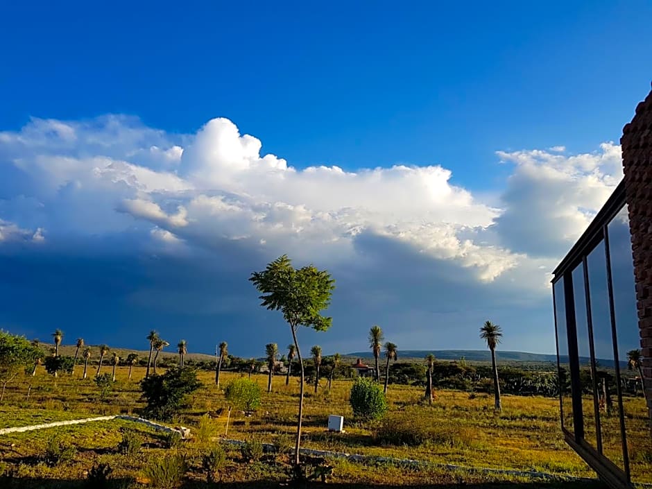 Mineral del Cielo