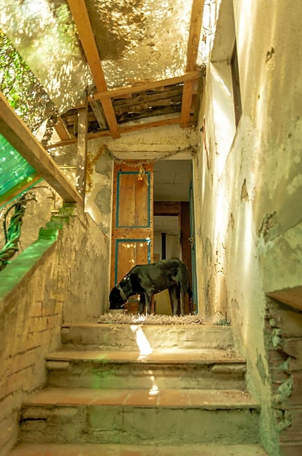Centro Studi Nuovarmonia